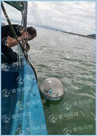 微信圖片_20250225154815 微信圖片_20250225154815